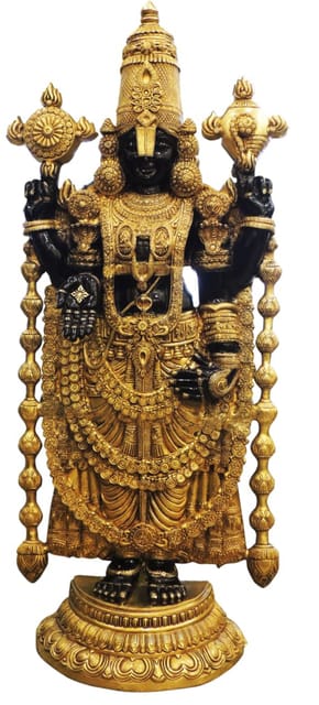 Brass Showpiece Tirupati Bala Ji God Idol Statue - 20*9*48 Inch (BS1760 B)